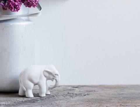 thème éléphant